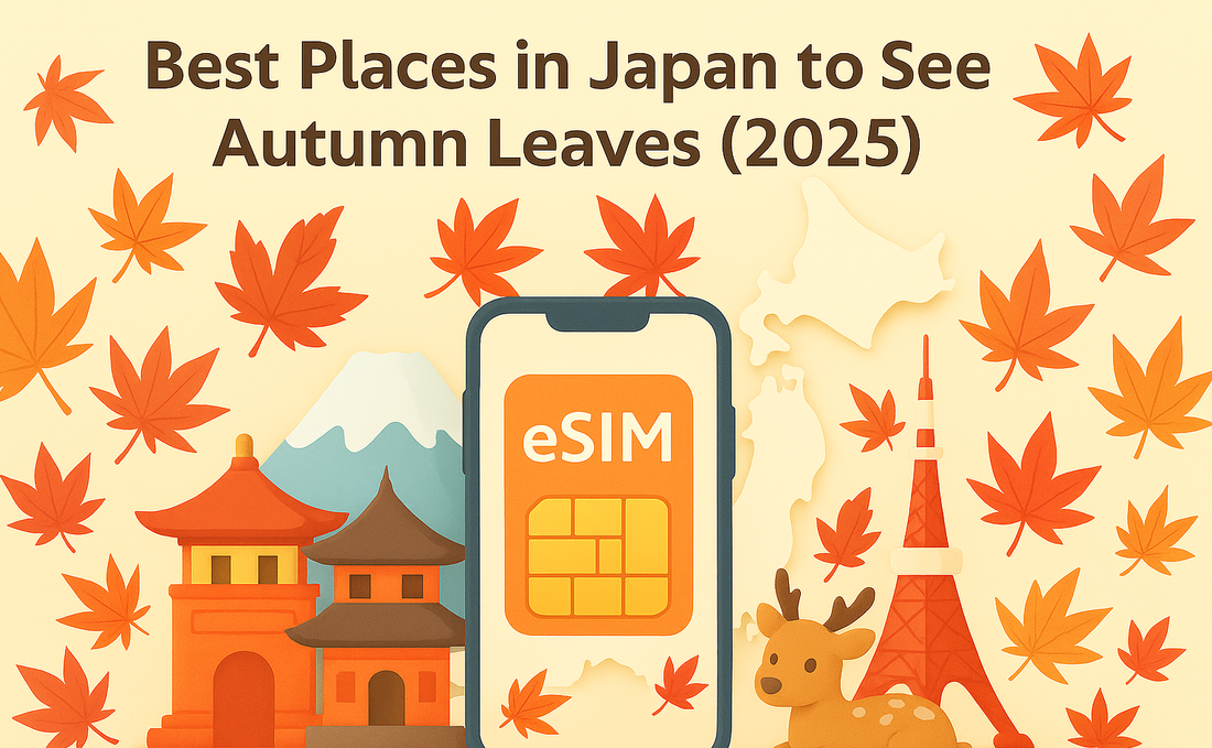2025 日本賞楓最美城市與路線:時間表、私房景點與自助行程一次看🍂
