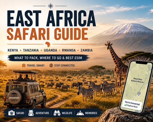 2026 東非 Safari 旅行攻略：肯亞、坦尚尼亞、烏干達、盧安達、尚比亞行前準備與最佳 eSIM 推薦